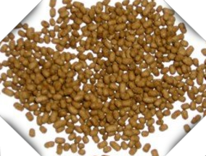 Benefits of Low Starch Extruded Feed