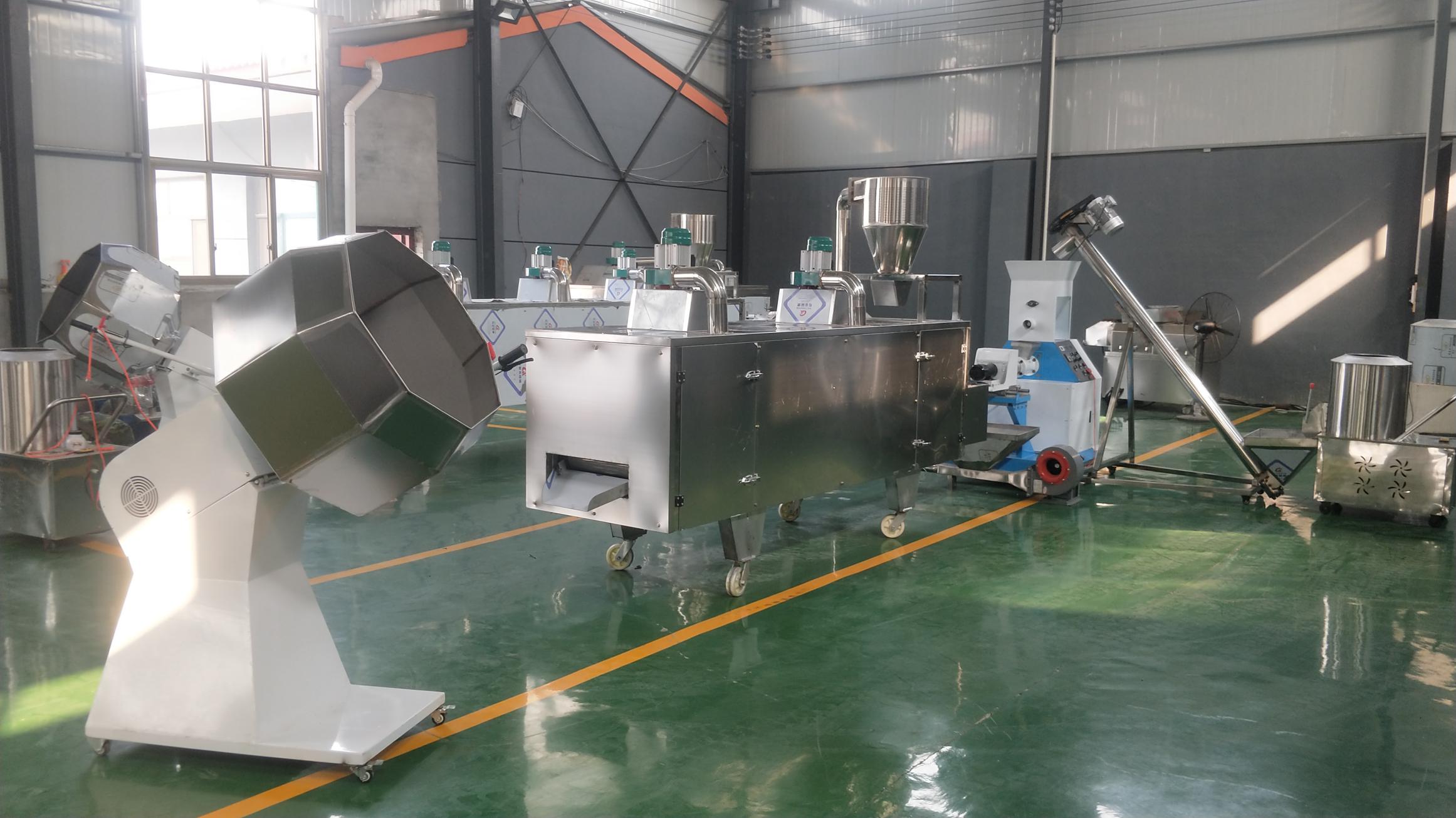 Fish Food Production Line