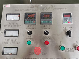 Artificial Rice Process Line