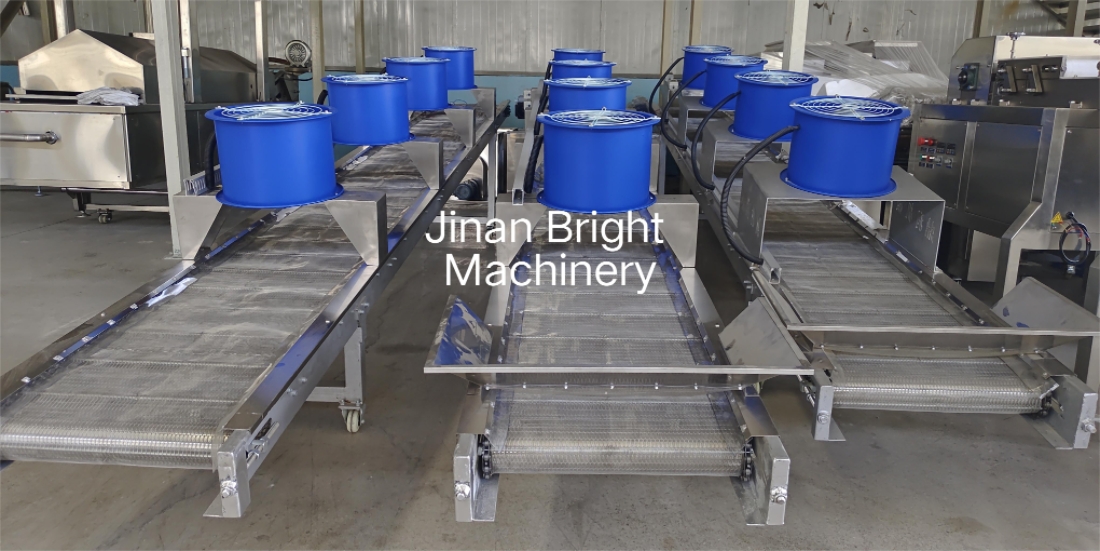 Fish Feed and Pet Food Production Line