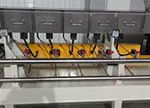 Twin Screw Instant Rice Extruder Machine