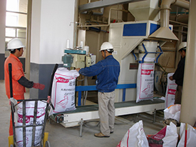 Big Capacity Fish Feed Making Machine 