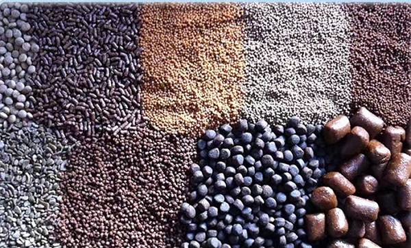 Characteristics of Fish Feed