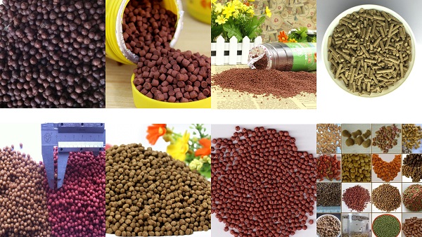 Automatic Fish Feed Pellet Machine