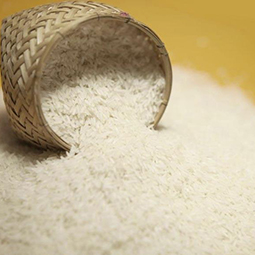 Artificial Rice Extruder