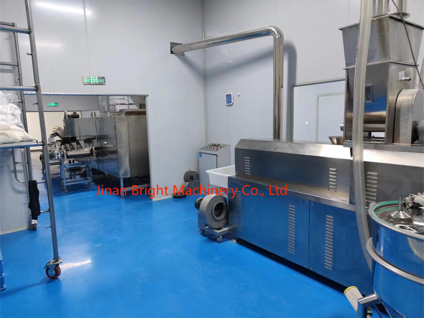Nutritional Powder Production Line Completed Installation
