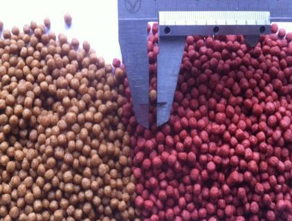 How To Ensure Fish Feed Quality 